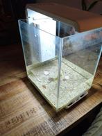 Superfish aquarium, Dieren en Toebehoren, Vissen | Aquaria en Toebehoren, Ophalen, Leeg aquarium