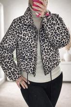 Pufferjack Panter, Kleding | Dames, Jassen | Winter, Ophalen of Verzenden, Nieuw, Maat 42/44 (L), Zwart