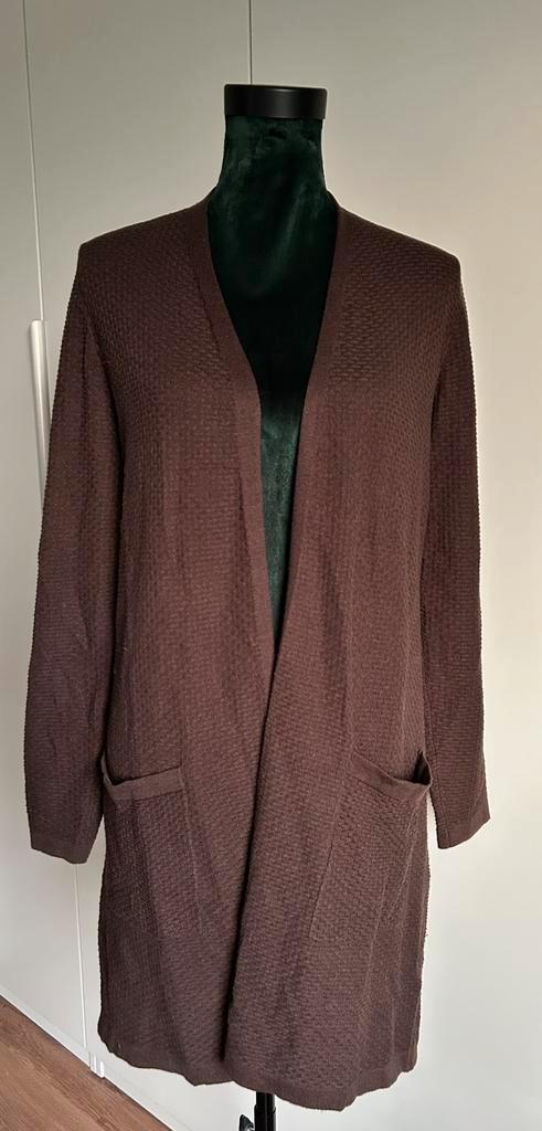 Bruin ( dun) vest Expresso maat M, Kleding | Dames, Truien en Vesten, Gedragen, Maat 38/40 (M), Bruin, Ophalen of Verzenden