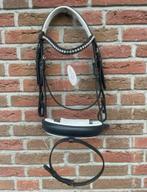 Nieuw profi-rider hoofdstel maat cob, Dieren en Toebehoren, Paarden en Pony's | Hoofdstellen en Tuigage, Ophalen of Verzenden