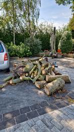 Brandhout kastanjehout, Minder dan 3 m³, Ophalen, Overige houtsoorten, Stammen