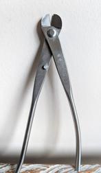 Bonsai draadstang, Bloeit niet, Halfschaduw, Minder dan 100 cm, Overige soorten