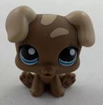 Littlest Pet Shop LPS 1052 Puppy Sportiest Pets Hond Figuur, Postbus 64461, Brunssum, Nederland, Verzenden, Kenduseditemsinfo@gmail.com