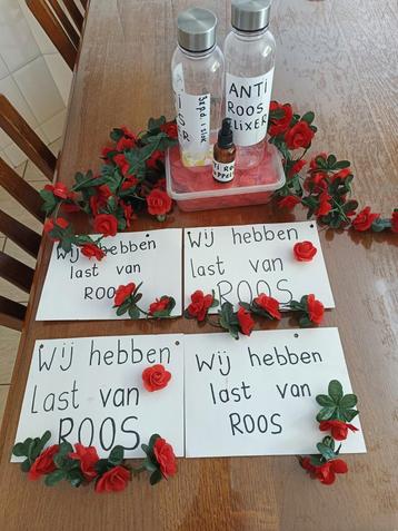 2 x carnaval outfit/ straattheater  beschikbaar voor biedingen