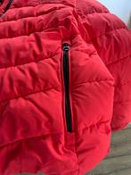 Dames Winterjas - Superdry - Maat M, Ophalen of Verzenden, Zo goed als nieuw, Maat 38/40 (M), Rood