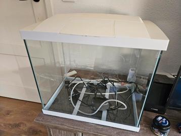 Aquarium en alle toebehoren!  beschikbaar voor biedingen