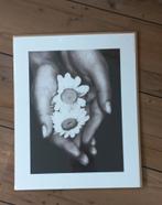 Ikea Bild poster 40x50, Nieuw, Ophalen of Verzenden, Foto of Poster, Minder dan 50 cm