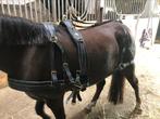 Tweespan tuig, Dieren en Toebehoren, Paarden en Pony's | Hoofdstellen en Tuigage, Nieuw, Ophalen of Verzenden