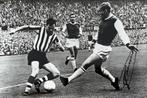 Spelerskaart Piet Fransen - Feyenoord Rotterdam, Verzamelen, Sportartikelen en Voetbal, Ophalen of Verzenden, Zo goed als nieuw