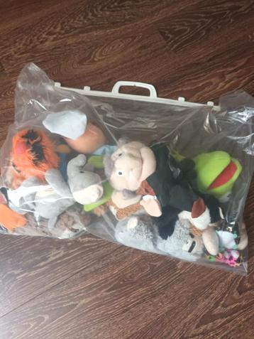 Knuffels  beschikbaar voor biedingen