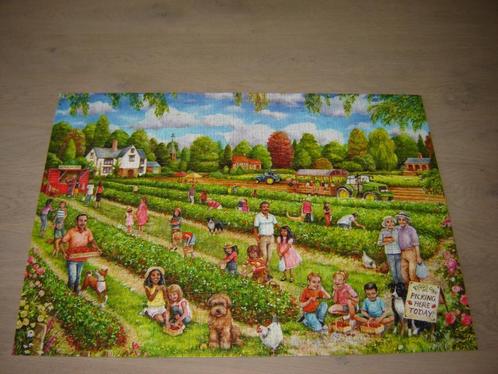 Puzzel Falcon STRAWBERRY PICKING 1000 st., Hobby en Vrije tijd, Denksport en Puzzels, Zo goed als nieuw, Legpuzzel, 500 t/m 1500 stukjes