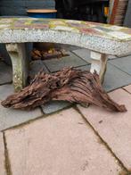 Groot stuk schoon kienhout, Ophalen, Zo goed als nieuw, Plant(en), Steen of Hout