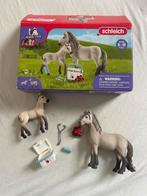 Schleich Horseclub 42430 Paardenarts Set, Ophalen of Verzenden, Zo goed als nieuw, Jongen of Meisje
