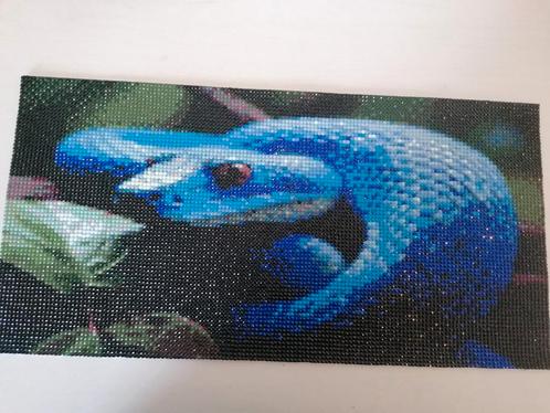 Diamond paintings slang/reptiel gezocht!, Hobby en Vrije tijd, Knutselen, Knutselwerk, Ophalen of Verzenden
