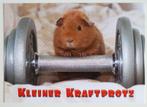 Cavia met halter "Kleiner Kraftprotz", kleine  krachtpatser, Verzamelen, Ophalen of Verzenden, 1980 tot heden, Ongelopen, Knaagdier