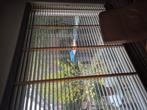 Op maat gemaakte houten luxaflex 219x160, Ophalen, Bruin, Zo goed als nieuw, 200 cm of meer