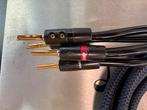 AudioQuest Type 4 luidsprekerkabel 2x 2mtr., Audioquest, Ophalen of Verzenden, Volgt, Volgt