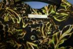 Vanilia zwart / groen tinten blader patroon jurk mt 38 32769, Groen, Maat 38/40 (M), Ophalen of Verzenden, Zo goed als nieuw