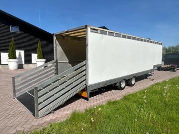 VELDHUIZEN be oplegger gesloten Veewagen Veldhuizen 8.5 TON beschikbaar voor biedingen