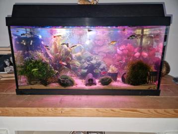Jewel aquarium 