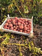 nieuwe aardappelen Bildtstar / Marjan, Diversen, Levensmiddelen, Ophalen