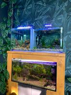 3 aquariums, Dieren en Toebehoren, Vissen | Aquaria en Toebehoren, Gebruikt, Ophalen of Verzenden, Leeg aquarium