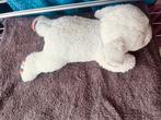Baby zazu slaap schaap/lam, Ophalen of Verzenden, Zo goed als nieuw, Overige typen