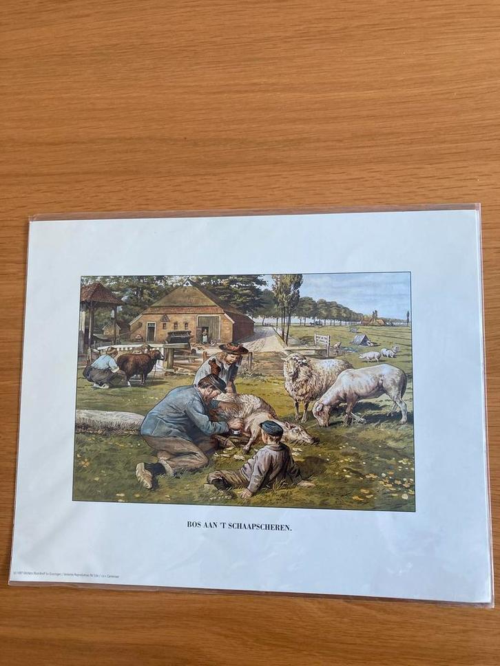 Prent Bos aan het Schaapscheren (Jetses) diverse platen, Verzamelen, Foto's en Prenten, Nieuw, Prent, Dier, Voor 1940, Ophalen of Verzenden