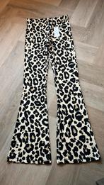 “NIEUW”Damez broek maat S AMBIKA, Bruin, Nieuw, Ophalen of Verzenden, Maat 36 (S)