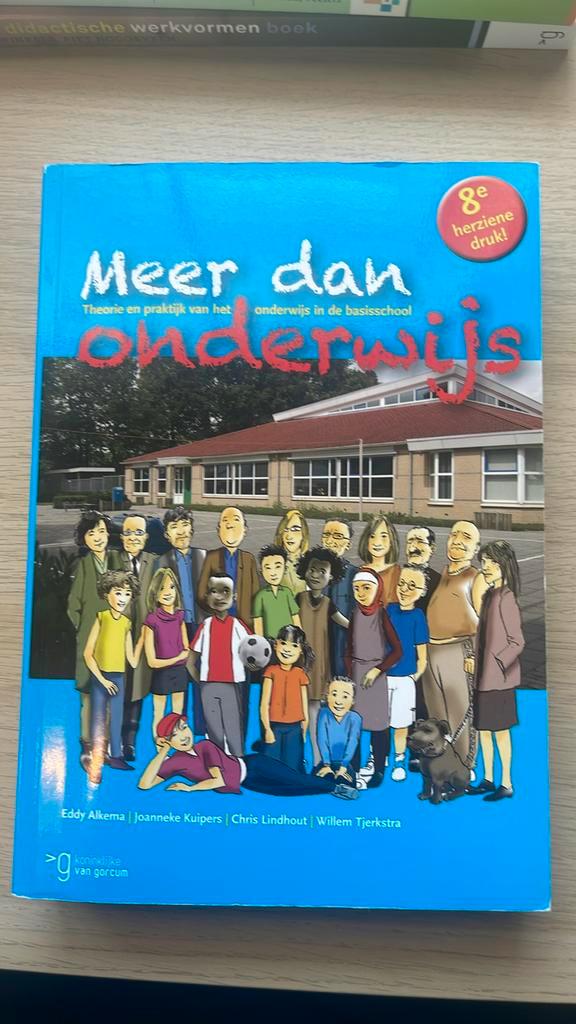 Meer dan onderwijs (de pabobijbel!), Boeken, Studieboeken en Cursussen, Zo goed als nieuw, HBO, Alpha, Ophalen of Verzenden