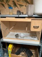 Broedkooi, Dieren en Toebehoren, Vogels | Hokken en Kooien, Ophalen, Gebruikt, Hout, Broedkooi of Kweekkooi