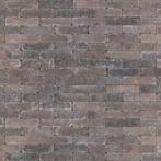 redsun Berkley betonklinkers 20x5x7 getrommeld, Ophalen, Nieuw, Beton, Klinkers