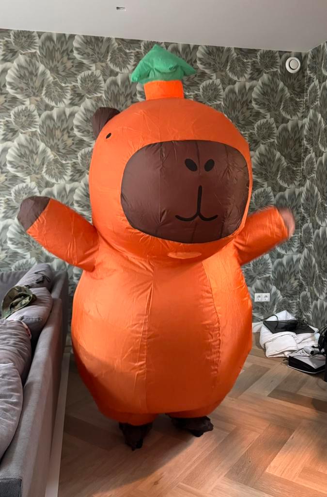 Opblaaspak,mascotte pak, capibara, halloween, Kleding | Dames, Carnavalskleding en Feestkleding, Gedragen, Kleding, Halloween
