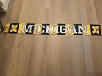 MICHIGAN SJAAL GO BLUE, Ophalen of Verzenden, Zo goed als nieuw, Buitenlandse clubs, Vaantje of Sjaal