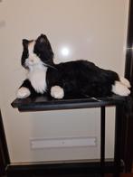 Robotpoes, Robot poes, Ophalen of Verzenden, Zo goed als nieuw, Poes