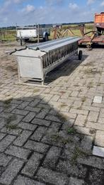 Creepfeeder, Dieren en Toebehoren, Schapen, Geiten en Varkens, Meerdere dieren, Schaap
