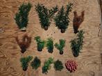 14 plastic aquariumplanten, Hobby en Vrije tijd, Borduren en Borduurmachines, Ophalen, Zo goed als nieuw