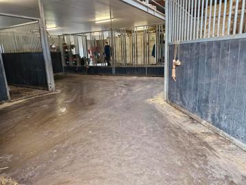 Plekje vrij op kleinschalige privestal, pensionstal bij bos beschikbaar voor biedingen