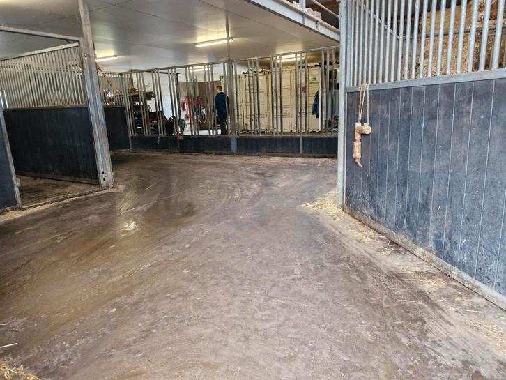 Plekje vrij op kleinschalige privestal, pensionstal bij bos, Dieren en Toebehoren, Stalling en Weidegang, Opfok, Stalling, Weidegang