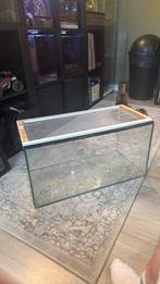 Terrarium, Ophalen, Gebruikt, Terrarium of Paludarium