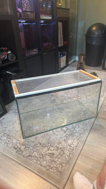 Terrarium beschikbaar voor biedingen