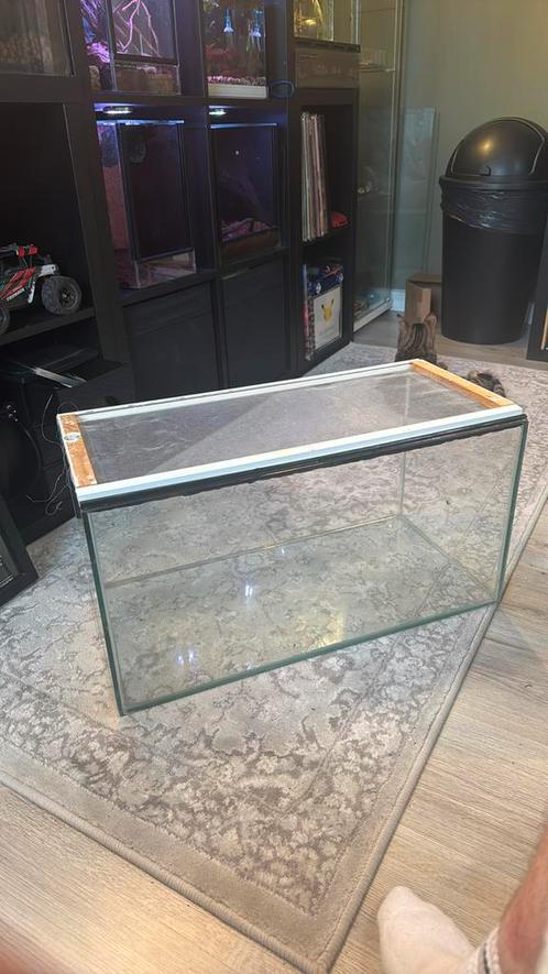 Terrarium, Dieren en Toebehoren, Reptielen en Amfibieën | Toebehoren, Gebruikt, Terrarium of Paludarium, Ophalen
