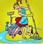 Poetshulp - schoonmaakster met ervaring gezocht in Bladel, Diensten en Vakmensen, Huishoudelijke hulp, Schoonmaken