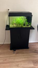 Compleet aquarium incl bijbehorende kast., Dieren en Toebehoren, Vissen | Aquaria en Toebehoren, Ophalen, Gebruikt, Gevuld zoetwateraquarium