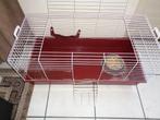 Mooie & praktische cavia of konijnenkooi 1 m x 50 cm, Kooi, Fret, Minder dan 60 cm, Gebruikt