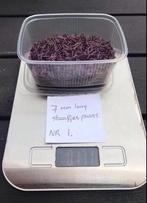 Paarse staafjes kralen 7 mm, Hobby en Vrije tijd, Ophalen, Nieuw