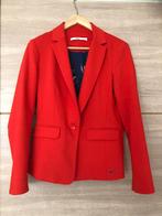 Steps Blazer Maat 38 - Kattenprint Voering!, Maat 38/40 (M), Ophalen of Verzenden, Zo goed als nieuw, Steps