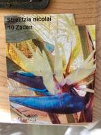 Strelitzia, Tuin en Terras, Planten | Tuinplanten, Ophalen of Verzenden, Zomer, Overige soorten, Volle zon