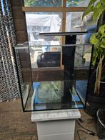 Superfish aquarium qube pro 60, Ophalen, Zo goed als nieuw, Terrarium of Paludarium
