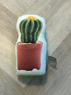 Cactus deurstopper, Ophalen